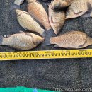 백달낚시터 이미지