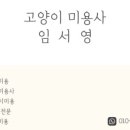 고양이미용사 임서영 이미지