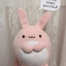 레이저 제모 2회차 후기