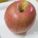 풍전농장 이미지