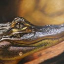 도솔치과의원 이미지