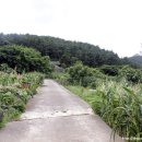 추자처사각 이미지