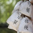 성주효요양병원 이미지