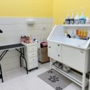 애견스케치 이미지