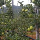 성광농장 이미지