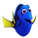 컴활2급 자격증(야간) | [자격증] 노베이스 컴활2급 3시간 벼락치기 후기 - 턱걸이하기 ( ˘ ³˘)♥︎