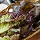 조은터농장 이미지