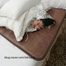 콜렌60도 이미지