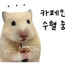 대덕대로317번길 이미지