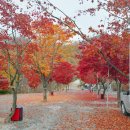 매봉힐링캠프 이미지