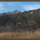 사리공인중개사사무소 이미지