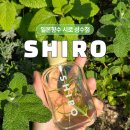 (주)셀러허브 | 4월 일본 향수 시로 성수매장 오픈! 종류 및 가격