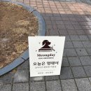 멍데이(meongday) 네이버블로그
