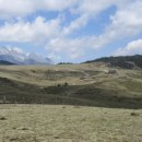 신사천성 이미지