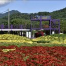 용대관광지 이미지