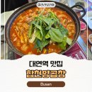 합천곱창 | 부산 대연동 곱창 맛집 합천양곱창 솔직후기