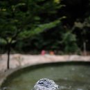 해찬민박 이미지