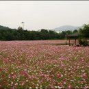 경기 도자박물관 이미지