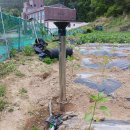 수은농장 이미지