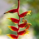 중구장애인복지관 1층 이미지