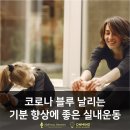 하이풀 스포츠 이미지