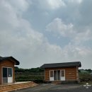 손사부 | 제주 중식당 맛집 부천손사부에서 이전한 제주손사부 내돈내산 후기~!