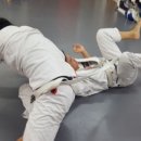 그레이시바하주짓수TEAMKMK