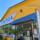 노란집 막국수 이미지