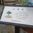 사나래카라반캠핑 이미지