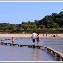 무섬마을 이미지