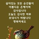 ♤트루먼 대통령과 6·25전쟁♧ 이미지