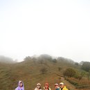 민둥산 Daum카페