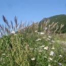 규봉암가는길 이미지