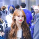 채원 이미지