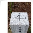 서구-01-36 이미지