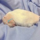 범계 아웃백 앞 | 오늘의 선택을 미워하진 말구요