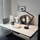 건강에 온(ON) | 재택근무 삶의 질 수직상승! 반려동물 눈 건강까지 생각한다면? 자연광 LED 스탠드 루메나 DESK ON 후기