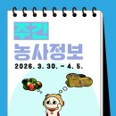 약용작물센터 | 🌱 3월 마지막 주, 지금 농사 체크 포인트
