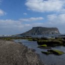 아산푸른민박 | 겨울 제주도 여행 체험단 2박 3일 총 비용 경비 동선 및 비용