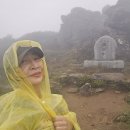 소백산 국망봉·비로봉 산행기록｜돼지바위와 함께한 우정산악회 하루
