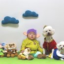 유스타 그루밍 이미지