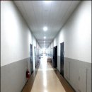 웨이브디 이미지