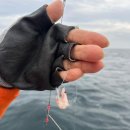 해경 옆 물치항 화장실 | 제주배낚시 / 제주도체험낚시 / 제주도체험 &lt;캡틴호&gt; 후기