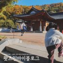 아세안자연휴양림 | 양주 산림청 국립아세안자연휴양림 솔직 방문후기