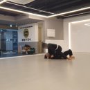 대청주짓수