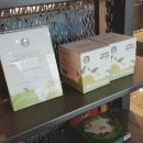 제주돌체 이미지