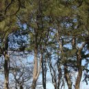 진성 마을회관 이미지