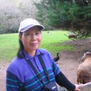 [파라다이스 벨리] / 松花 김윤자 이미지