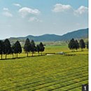 삼비산농장 이미지