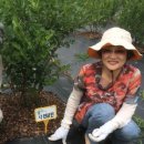 순창농장 이미지